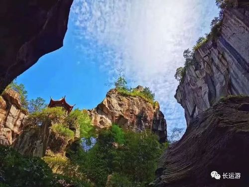 春天,芳菲万里,等你相遇/浙江省旅游业务恢复了,小编带你游~ 春天