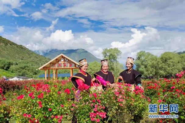 林芝:大力发展生态旅游与特色产业 全面推进乡村